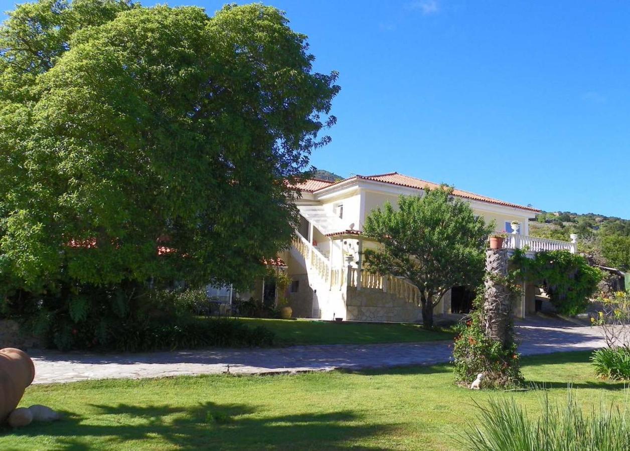 Casa-Palo-Pique Daire Icod De Los Vinos Dış mekan fotoğraf